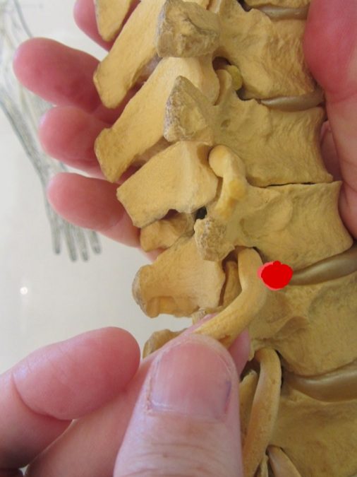 פריצת דיסק